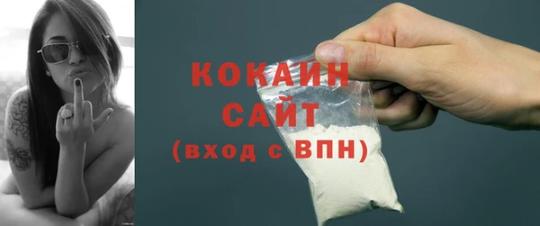 соль ск Михайлов