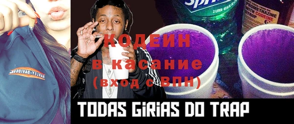 крисы Медногорск