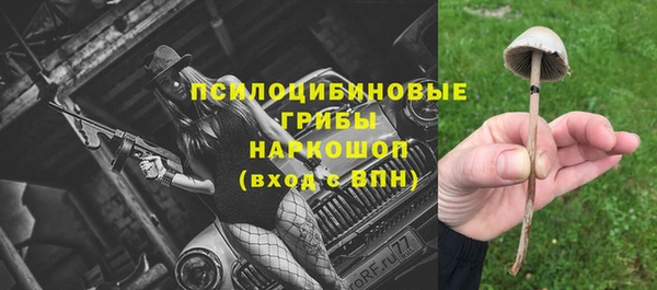 соль ск Михайлов