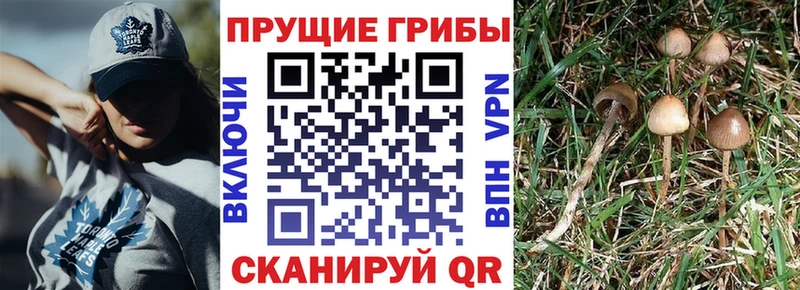 Галлюциногенные грибы ЛСД  Белоусово 